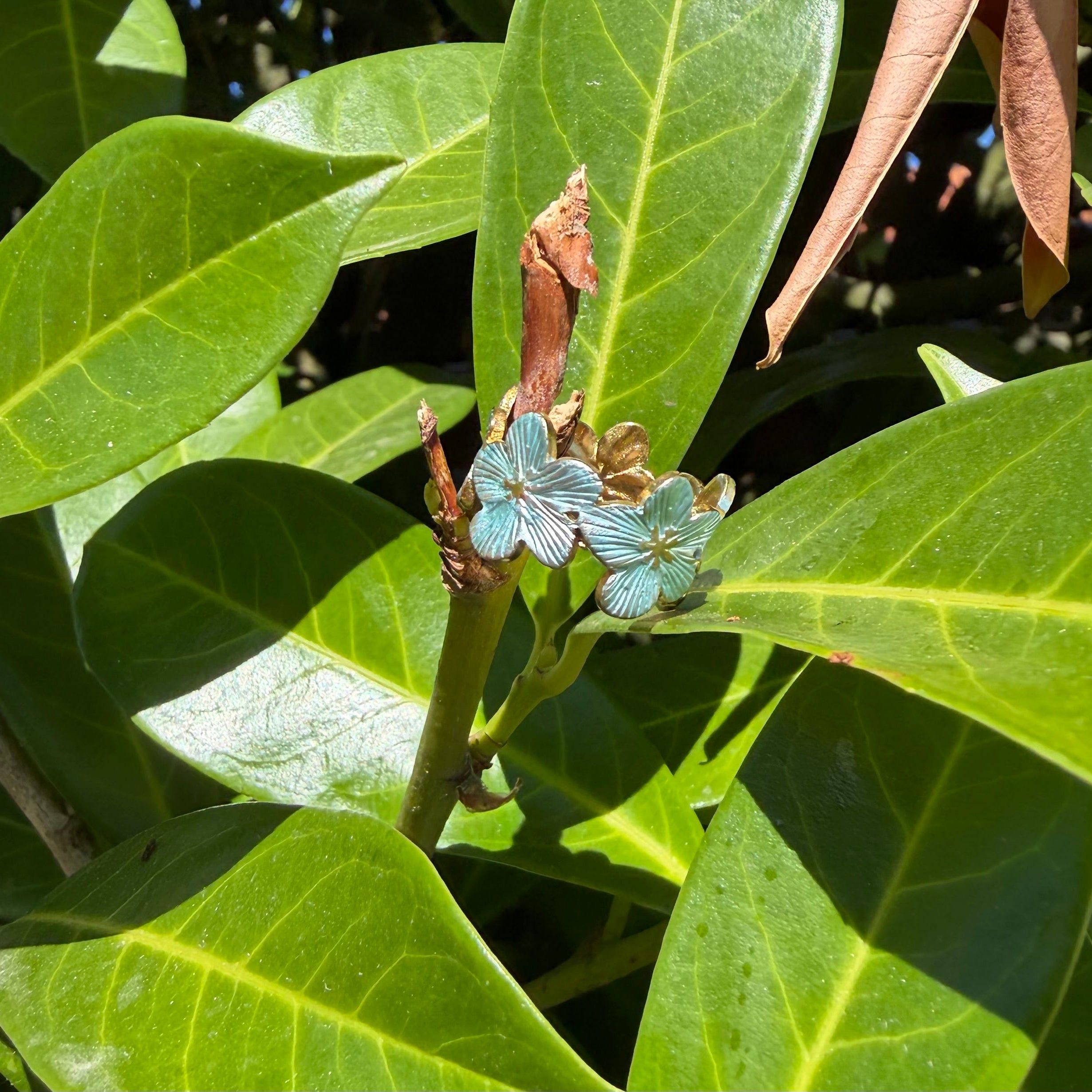 Bague Emma